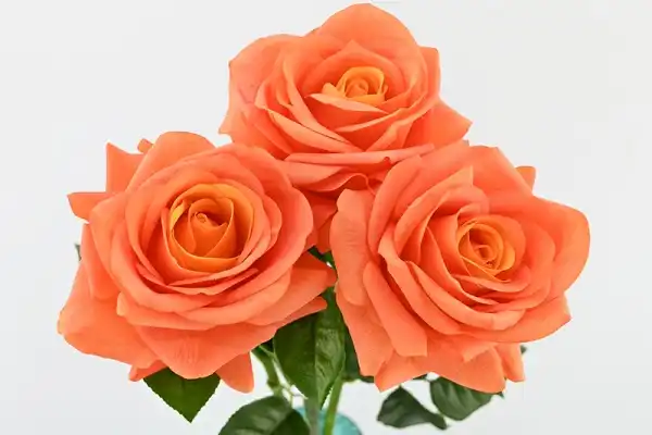 Real Touch Roses Wholesale for Event & Floral Supply Chains